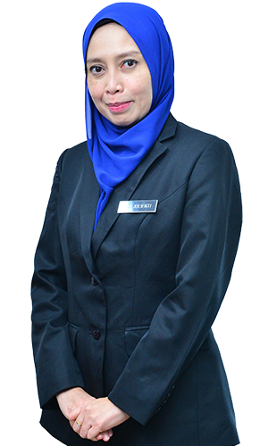 Assoc. Prof. Dr. Lily Julienti Abu Bakar 